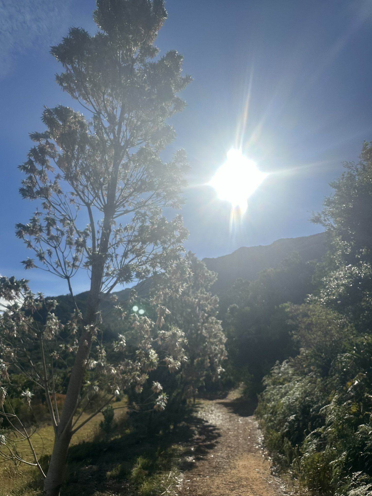 South Africa - Image 584